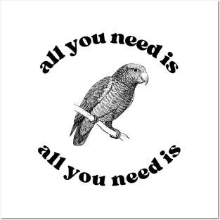 All you need is an African Grey Parrot Posters and Art